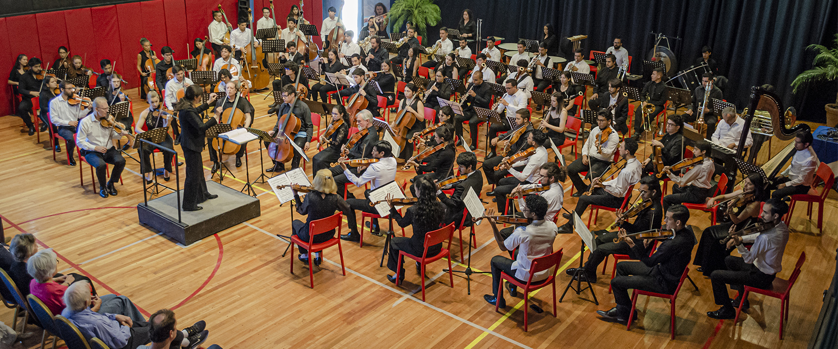 6° Festival y Academia Internacional de Música Portillo